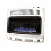 MR. HEATER 30,000 BTU Vent Free Blue Flame Dual Fuel Heater