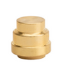 Probite 1/2” End Stop Brass